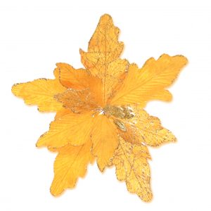 Flor Ponsetia