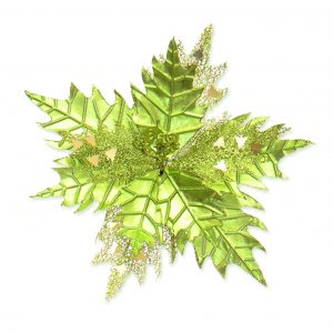 Flor Ponsetia