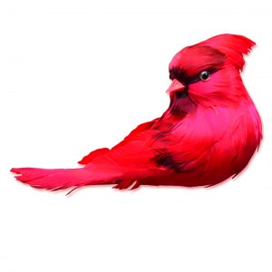 Pajaro Rojo 17cm