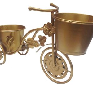 Triciclo hojas con canasta 40 X 26 X 12cm