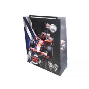 Bolsa de Regalo Grande