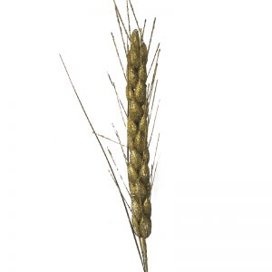 FOLLAJE-ESPIGA-GDE-ESC-45CM-Almacenes-romulo-montes