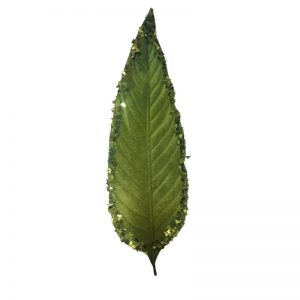 FOLLAJ-HOJA-LARGA-LISA-BORDE-CON-LENTEJUELAS-A-1639-Almacenes-Romulo-Montes-(3)