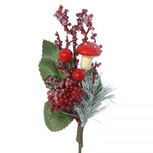 PICK-BERRYS-Y-HONGOS-CON-HOJITAS-SM-11705-Almacenes-Romulo-Montes-(3)